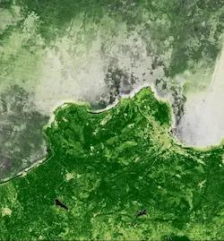 Sentinel-2 Quarterly Mosaics NDVI image