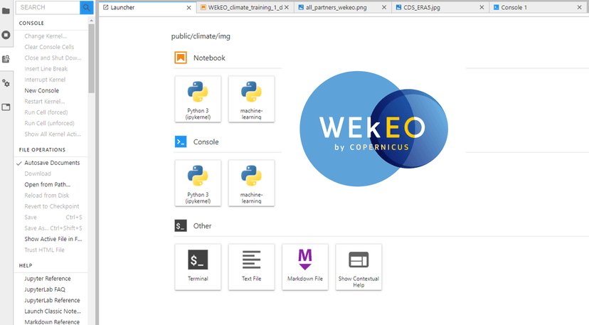 Start your WEkEO journey with the WEkEO JupyterLab!