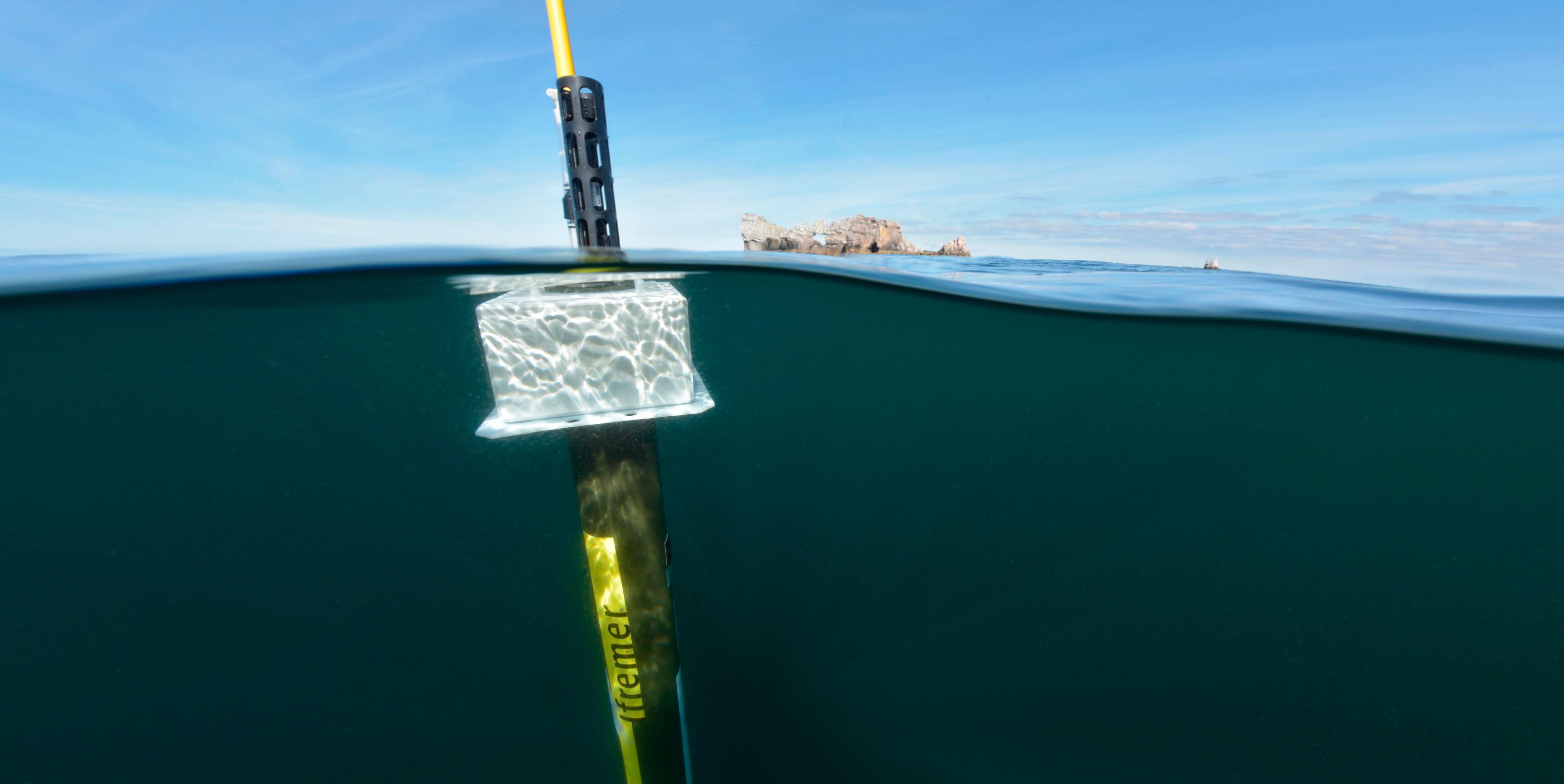 Argo floats